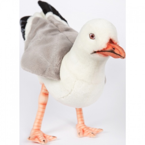 Seagull Herring 30cmL Plush Soft Toy